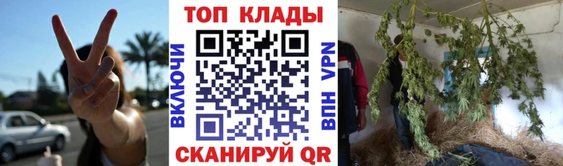 Виды наркоты Куртамыш КОКАИН Меф мяу мяу Галлюциногенные грибы Канабис