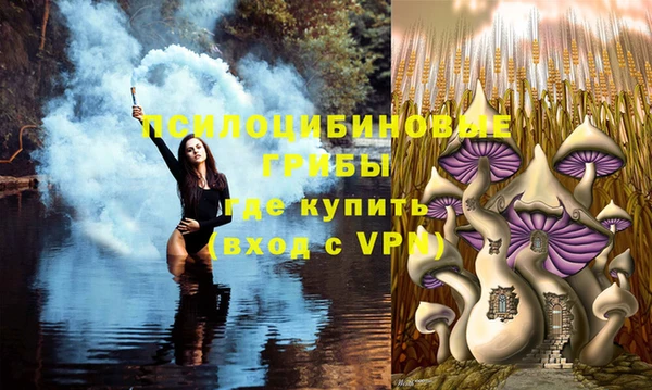 метадон Алексеевка